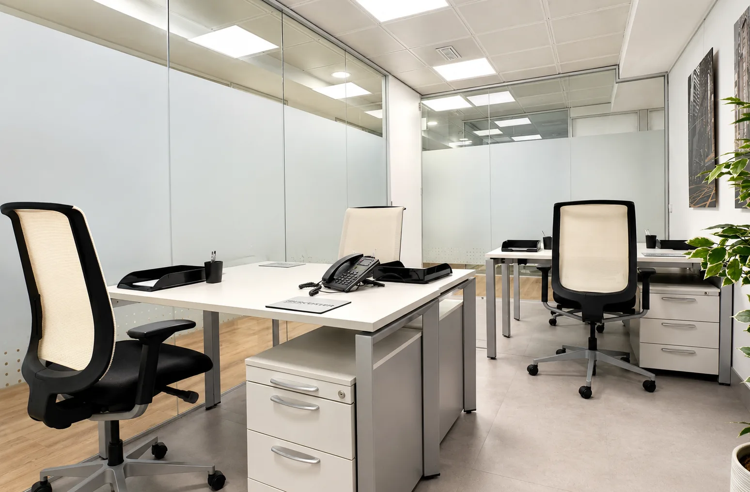 Office 44