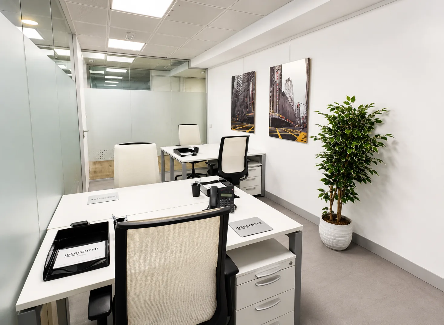 Office 44